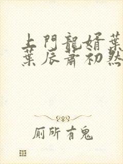 上门龙婿叶辰(叶辰萧初然)