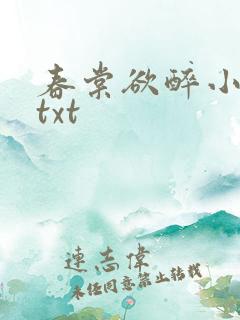 春棠欲醉小说.txt
