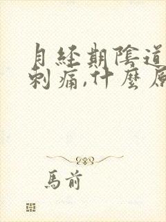 月经期阴道有点刺痛,什么原因