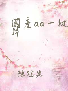 国产aa一级淫片