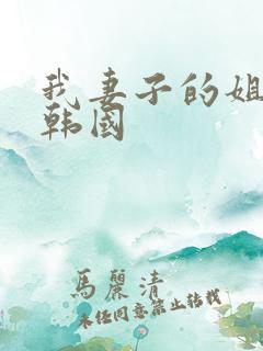 我妻子的姐姐3韩国