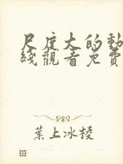 尺度大的动漫在线观看免费