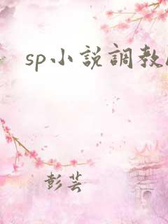 sp小说调教h