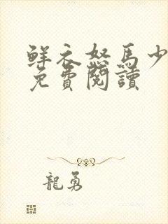 鲜衣怒马少年郎免费阅读