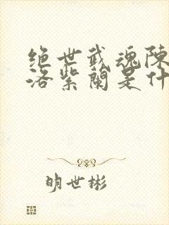 绝世武魂陈枫和洛紫兰是什么关系