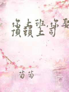 你上班,你娶了顶头上司