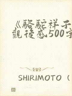 《骆驼祥子》的观后感500字