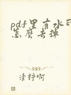 pdf里有水印怎么去掉