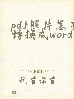 pdf照片怎么转换成word文档