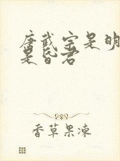 唐武宗是明君还是昏君