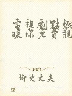 电视剧点燃我温暖你免费观看全集