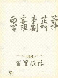 白客辛芷蕾演的电视剧叫什么