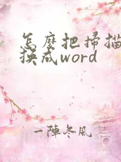 怎么把扫描件转换成word