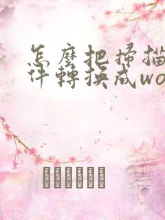 怎么把扫描的文件转换成word