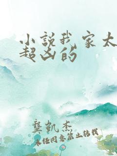 小说我家太子妃超凶的