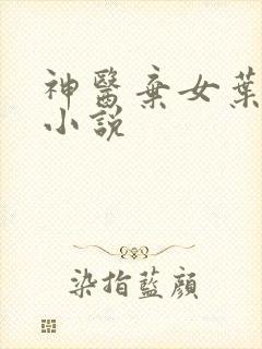 神医弃女叶凌月小说