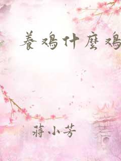 养鸡什么鸡好养