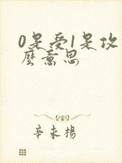 0是受1是攻什么意思