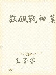 狂飙战神叶无缺