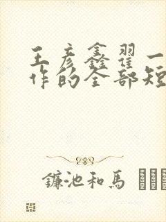 王彦鑫翟一莹合作的全部短剧