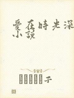 爱在时光深处 小说