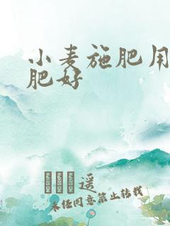 小麦施肥用什么肥好