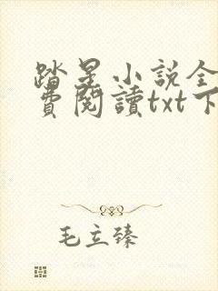 踏星小说全文免费阅读txt下载