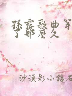 孙露歌曲等你等了那么久