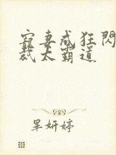 宠妻成狂闪婚总裁太霸道