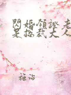 闪婚领证老公竟是总裁大人小说
