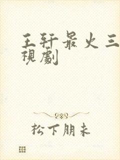 王轩最火三部电视剧
