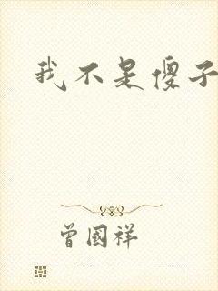 我不是傻子叶凡