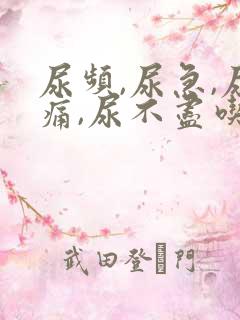 尿频,尿急,尿痛,尿不尽吃什么药