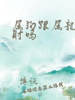 属狗跟属龙的合财吗