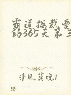 霸道总裁爱上我的365天第三季免费观看