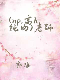 (np,高h,纯肉)老师