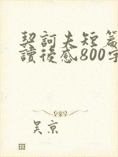 契诃夫短篇小说读后感800字