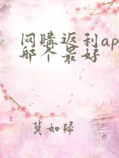 网购返利app哪个最好