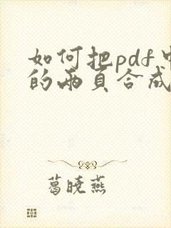 如何把pdf中的两页合成一页