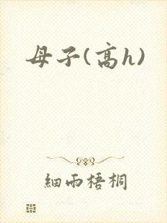 母子(高h)