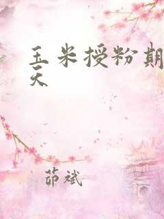 玉米授粉期是几天