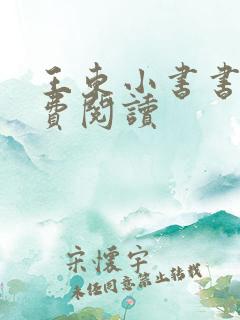 王东小书书籍免费阅读