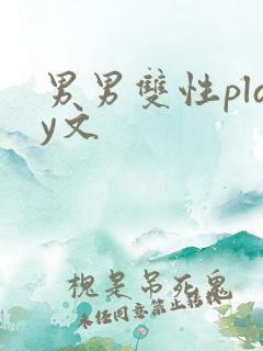 男男双性play文