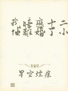 我暗恋十二年的他离婚了小说