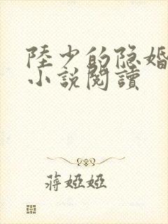 陆少的隐婚罪妻小说阅读