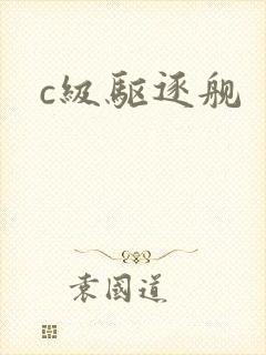 c级驱逐舰