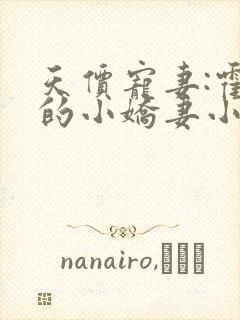 天价宠妻:霍总的小娇妻小说
