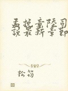 孟挽意陆司寒小说最新章节更新列表