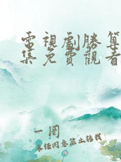 电视剧胜算40集免费观看
