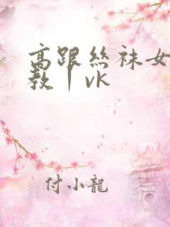 高跟丝袜女王调教丨vk